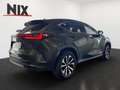 Lexus NX 350h Executive Line + Technik + Pano Grün - thumbnail 4