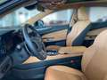 Lexus NX 350h Executive Line + Technik + Pano Grün - thumbnail 10
