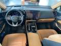 Lexus NX 350h Executive Line + Technik + Pano Grün - thumbnail 14