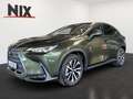 Lexus NX 350h Executive Line + Technik + Pano Grün - thumbnail 1