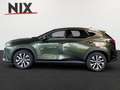 Lexus NX 350h Executive Line + Technik + Pano Grün - thumbnail 6