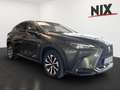 Lexus NX 350h Executive Line + Technik + Pano Grün - thumbnail 2