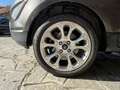 Ford EcoSport 1.0 EcoBoost 125 CV Start&Stop Titanium Grijs - thumbnail 22