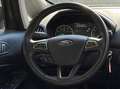 Ford EcoSport 1.0 EcoBoost 125 CV Start&Stop Titanium Grigio - thumbnail 11