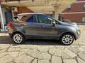 Ford EcoSport 1.0 EcoBoost 125 CV Start&Stop Titanium Grigio - thumbnail 9