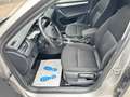 Skoda Octavia Drive * DAB * Aus 1.Hand * Mit Garantie * Beige - thumbnail 9