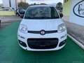 Fiat Panda 1.2 Lounge - 2015 Bianco - thumbnail 2