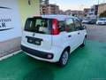 Fiat Panda 1.2 Lounge - 2015 Bianco - thumbnail 6
