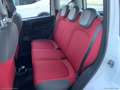 Fiat Panda 1.2 Lounge - 2015 Bianco - thumbnail 13