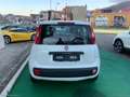 Fiat Panda 1.2 Lounge - 2015 Bianco - thumbnail 5