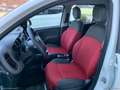 Fiat Panda 1.2 Lounge - 2015 Bianco - thumbnail 11