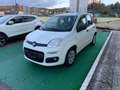 Fiat Panda 1.2 Lounge - 2015 Bianco - thumbnail 3