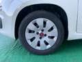 Fiat Panda 1.2 Lounge - 2015 Bianco - thumbnail 16