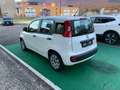 Fiat Panda 1.2 Lounge - 2015 Bianco - thumbnail 4