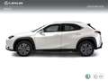 Lexus UX 300e e- Alb - thumbnail 3