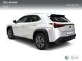 Lexus UX 300e e- Alb - thumbnail 2
