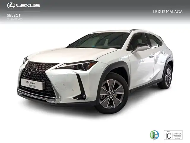 Lexus UX 300e e-