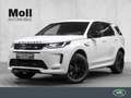 Land Rover Discovery Sport Hybrid R-Dynamic S AWD P300e EU6d Panorama Navi Le Blanc - thumbnail 1