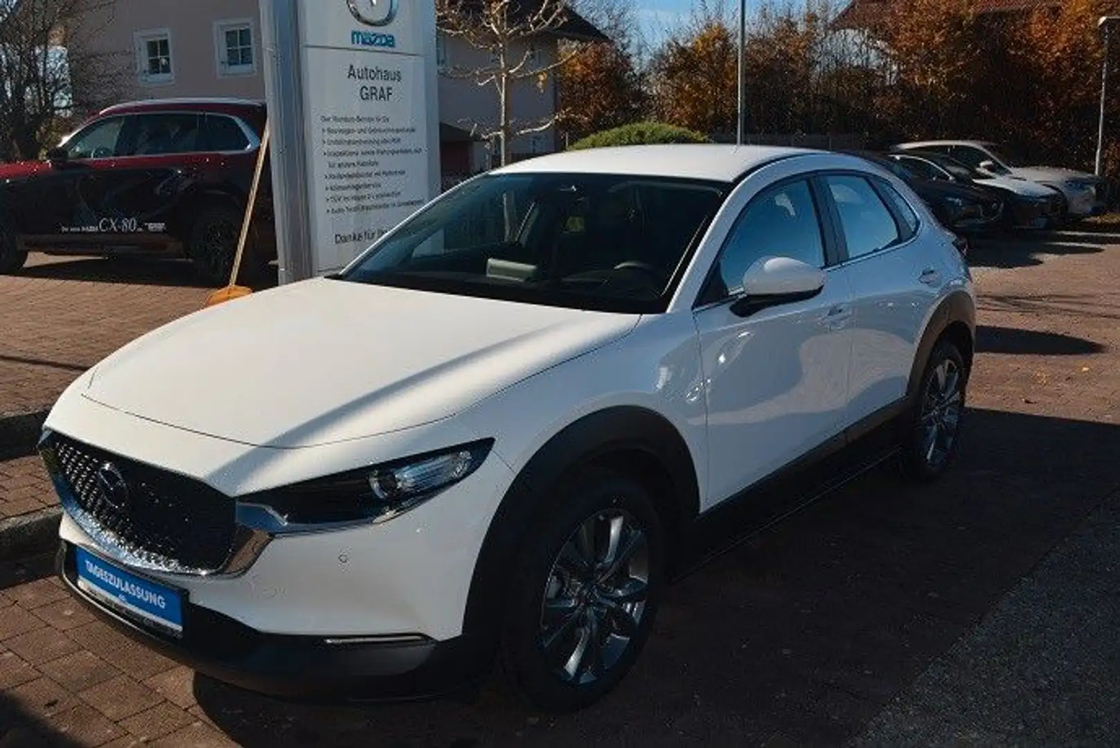Mazda CX-30 Centre-Line Navi HuD LED PDC KAMERA ACC Blanc - 2