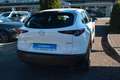 Mazda CX-30 Centre-Line Navi HuD LED PDC KAMERA ACC Weiß - thumbnail 6