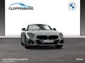 BMW Z4 sDrive20i M Sportpaket Head-Up HK HiFi DAB Grey - thumbnail 10