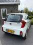 Kia Picanto Picanto 1.0 CVVT EcoPlusLine - Topprijs vast! Alb - thumbnail 2
