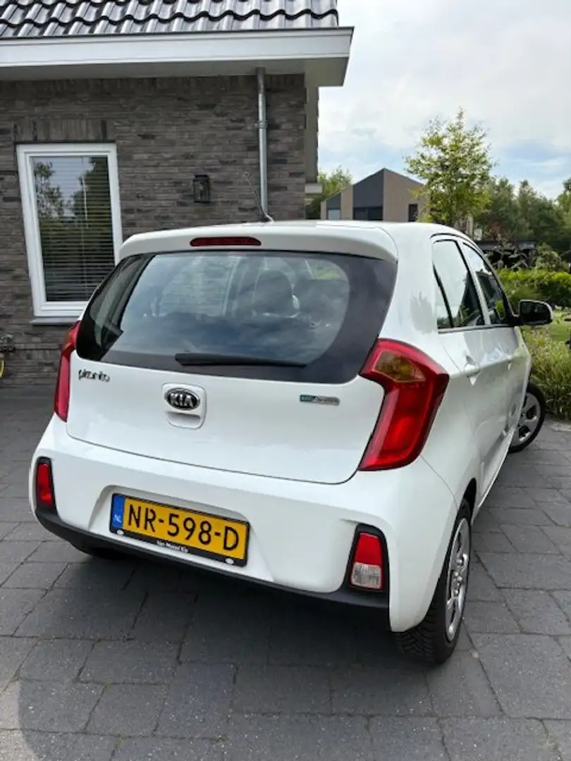 Kia Picanto Picanto 1.0 CVVT EcoPlusLine - Topprijs vast! Alb - 2