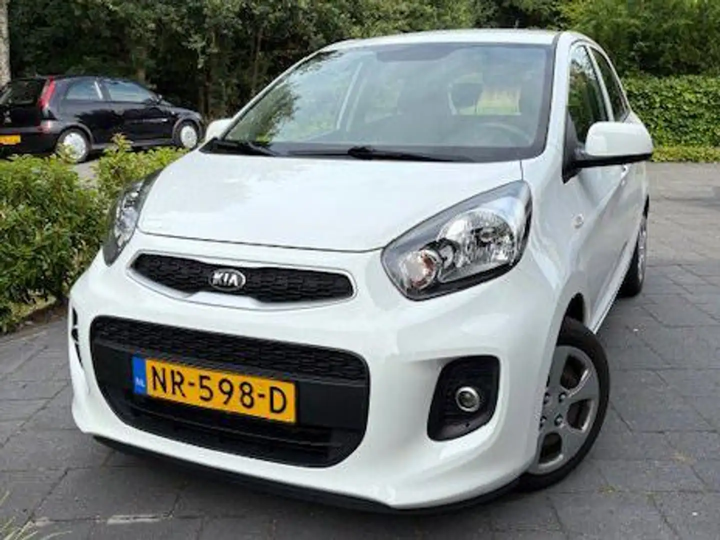 Kia Picanto Picanto 1.0 CVVT EcoPlusLine - Topprijs vast! Alb - 1