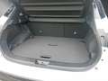 Nissan Qashqai e-Power N-Connecta+ / 205 Ps elektrisch Weiß - thumbnail 15