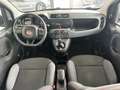 Fiat Panda Panda 1.2 Easy easypower Gpl 69cv Gris - thumbnail 26
