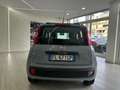 Fiat Panda Panda 1.2 Easy easypower Gpl 69cv Gris - thumbnail 18