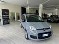 Fiat Panda Panda 1.2 Easy easypower Gpl 69cv Gris - thumbnail 17