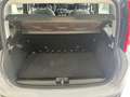 Fiat Panda Panda 1.2 Easy easypower Gpl 69cv Gris - thumbnail 20