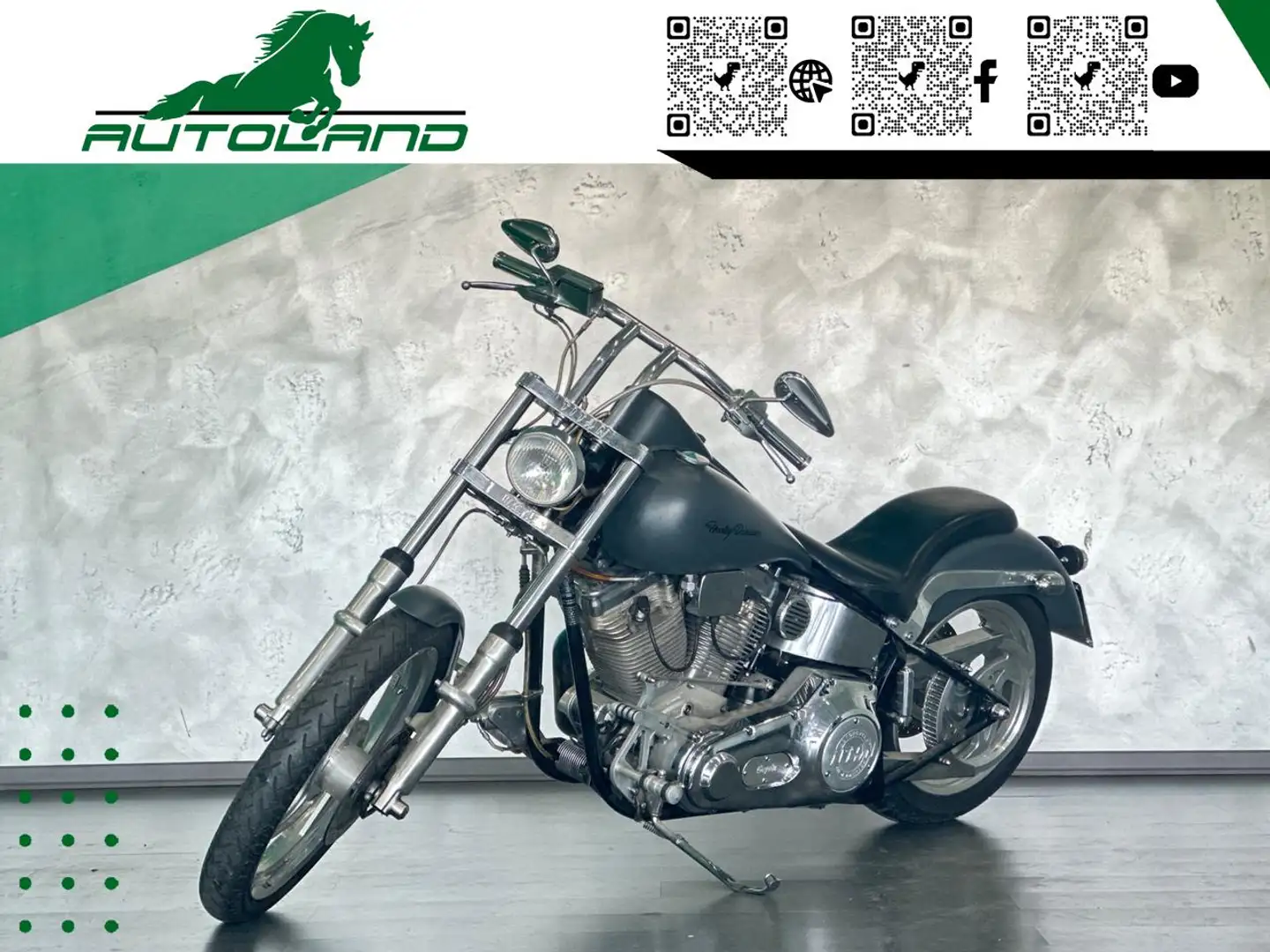 Harley-Davidson Softail Titan Coyote - Harley Davidson Grigio - 1