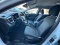 Kia Ceed SW / cee'd SW *KAM*NAVI*SPURHALTE*APPLE&ANDR Blanco - thumbnail 11
