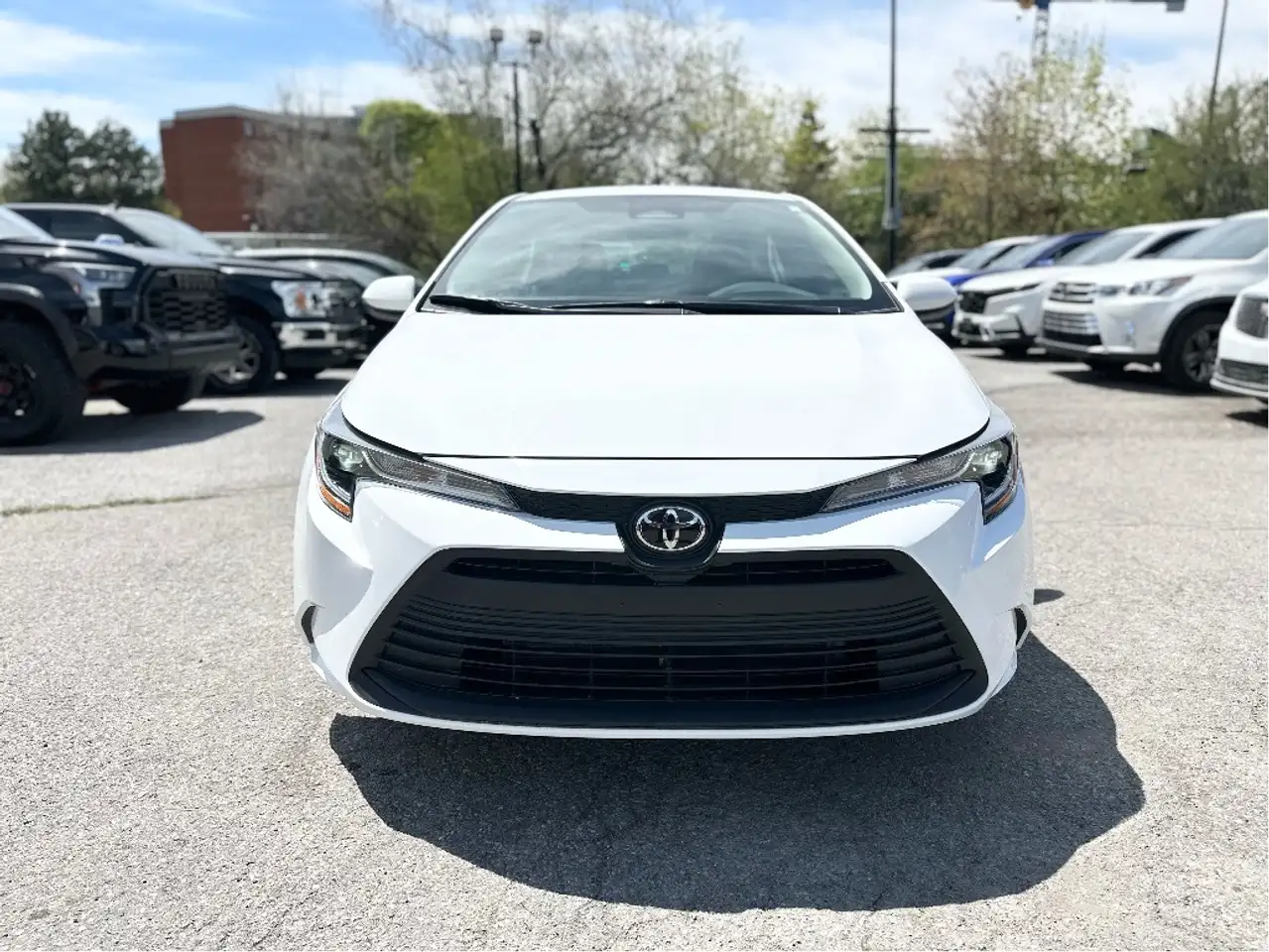 Toyota Corolla снимка Toyota Corolla