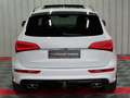 Audi SQ5 3.0 TDI plus quattro Pano StdHeiz B&O AHK ACC Voll Blanc - thumbnail 6