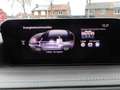 Mazda CX-30 2.0 e-SkyActiv-G M Hybrid Luxury Grau - thumbnail 26