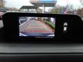 Mazda CX-30 2.0 e-SkyActiv-G M Hybrid Luxury Grau - thumbnail 40