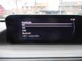 Mazda CX-30 2.0 e-SkyActiv-G M Hybrid Luxury Grau - thumbnail 27