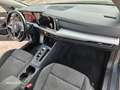 Volkswagen Golf 2.0 TDI 150 CV DSG Grigio - thumbnail 24