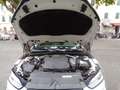 Audi A5 A5 II 2017 Sportback 2.0 tdi Business Sport 190cv Weiß - thumbnail 13