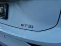 Volkswagen Golf Variant Golf VIII Variant 1.5 eTSI Goal NAVI / ACC / SHZ / Weiß - thumbnail 19