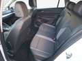 Volkswagen Golf Variant Golf VIII Variant 1.5 eTSI Goal NAVI / ACC / SHZ / Weiß - thumbnail 15