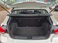 SEAT Ibiza 1.6 tdi Weiß - thumbnail 12