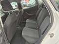 SEAT Ibiza 1.6 tdi Weiß - thumbnail 13