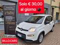 Fiat Panda Fiat Panda 1.0 Ybrid CityLife NOLEGGIO GIORNALIERO Bianco - thumbnail 1