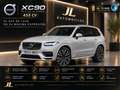 Volvo XC90 T8 Plus AWD Aut. Gris - thumbnail 10