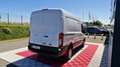 Ford Transit t350 l2h2 2.0 ecoblue 130 ss trend business Blanc - thumbnail 6