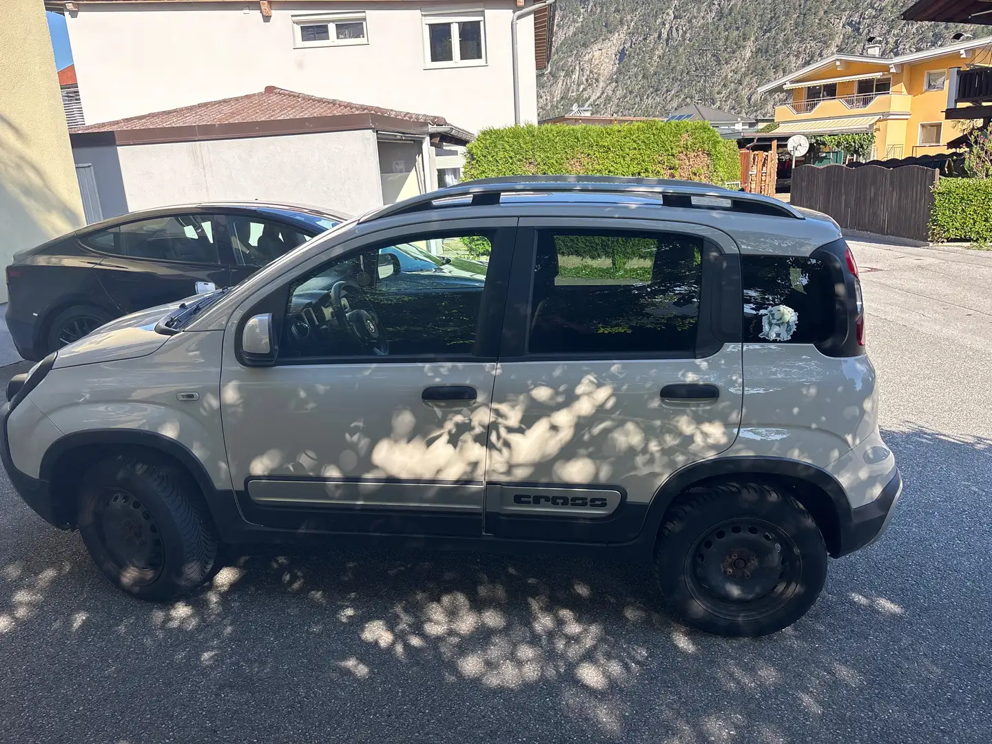 Fiat Panda Panda 4x4 1,3 Multijet II 80 4x4 Cross Cross Braun - 2